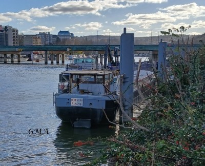 denestra-st cloud-30_11_2025.jpg