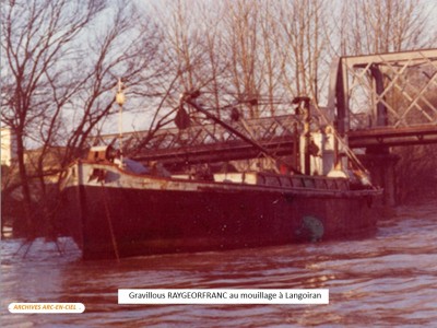 RAYGEORFRANC Vagus 01.jpg