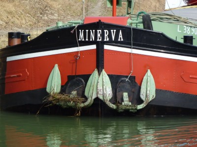 P1000436MINERVA.jpg