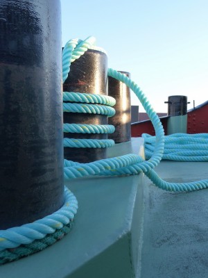 P1000568MINERVA.jpg (122.54 Kio) Vu 4620 fois P1000568MINERVA.jpg