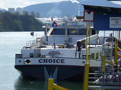 P1010770CHOICE.jpg