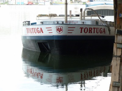 P1010852TORTUGA.jpg