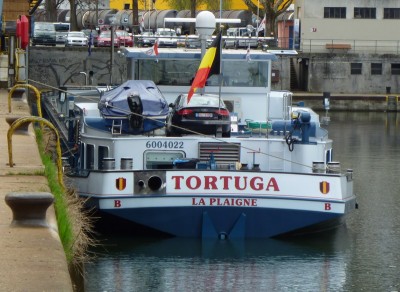 P1010842TORTUGA.jpg