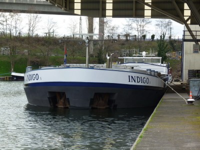 P1010792INDIGOII.jpg