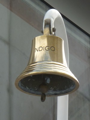 P1010807INDIGO.JPG