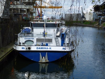 P1010788DAMINA-K.jpg