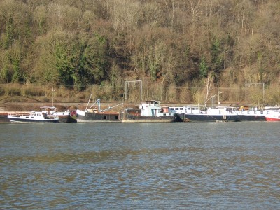 2008_0113x20044.JPG (254.81 Kio) Vu 3190 fois 2008_0113x20044.JPG