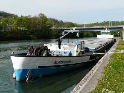 black pearl-av-bougival.JPG