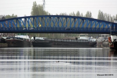 100426 005 - 800.jpg