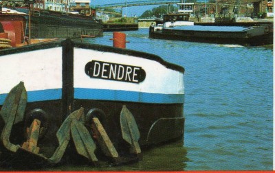 longueil-dendr-extCP-mage.jpg