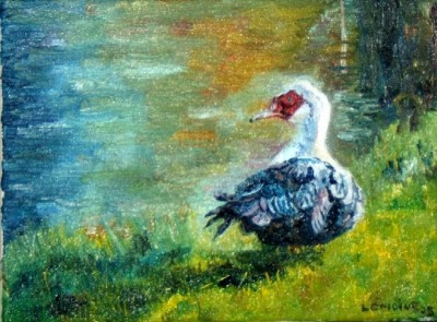 Lemoine_Canards de Barbarie³.jpg (162.97 Kio) Vu 4259 fois Lemoine_Canards de Barbarie³.jpg