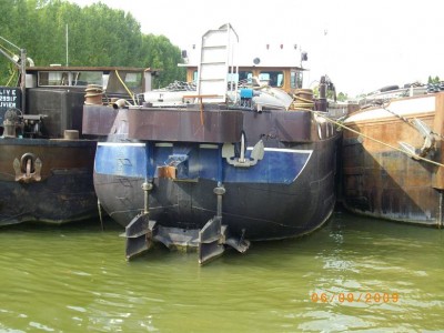 IMGP3123.JPG