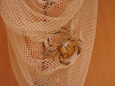 DSC06034.JPGA.jpg (161.95 Kio) Vu 4196 fois DSC06034.JPGA.jpg