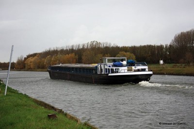 091117 020 - 800.jpg (80.97 Kio) Vu 4378 fois 091117 020 - 800.jpg