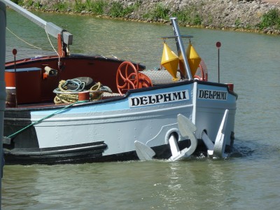 P1020759DELPHMI.jpg