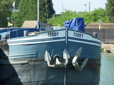P1020753TEDDY.jpg