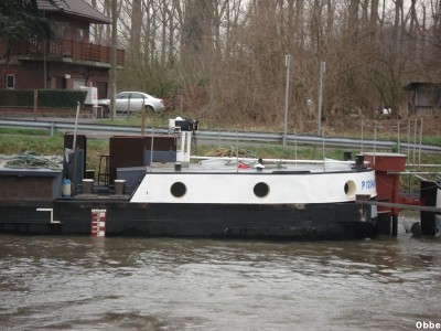 Magnum Maxi 06_1.JPG