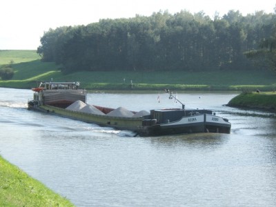 Asoka.JPG