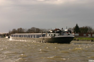 Vegas 13_1.JPG (61.72 Kio) Vu 8337 fois Vegas 13_1.JPG