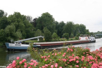 IMG_1707_1.JPG