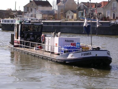 Piranha 3.JPG