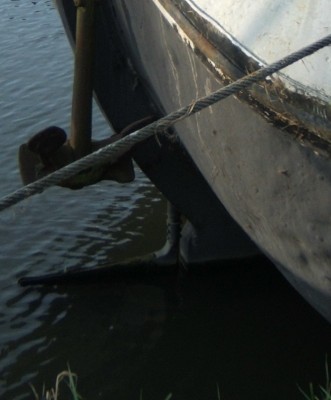 bouteur.jpg
