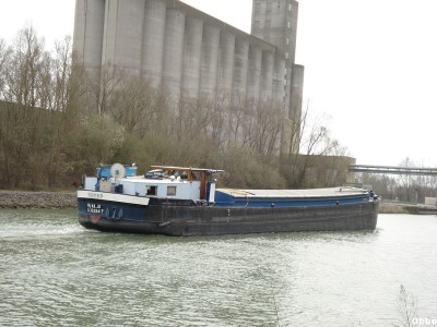 Ma.Jo 07_1.JPG (93.91 Kio) Vu 10076 fois Ma.Jo 07_1.JPG