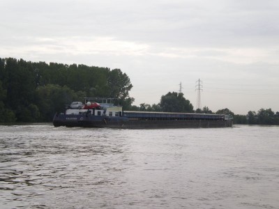 IMGP2780 [800x600].JPG