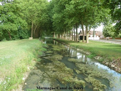 15 Marmagne Canal de Berry (3).JPG