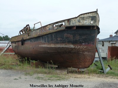 15 Marseilles les Aubigny Mouette.JPG