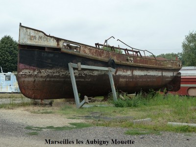 15 Marseilles les Aubigny Mouette2.JPG