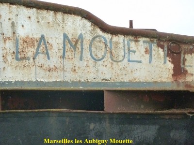 15 Marseilles les Aubigny Mouette4.JPG