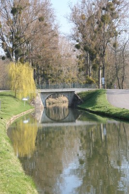 001 (5).JPG (306.88 Kio) Vu 3384 fois 001 (5).JPG