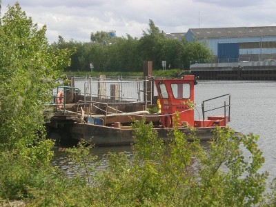 CIMG5206.JPG