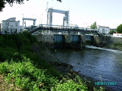 IMGP0321.JPG