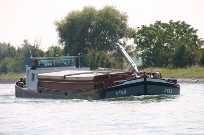 Star 01_1.JPG (82.61 Kio) Vu 4247 fois Star 01_1.JPG