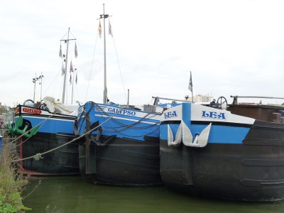P1080424DORIGNIES.jpg