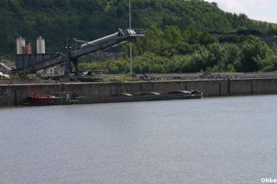 Calvi Kelvi 21_1.JPG