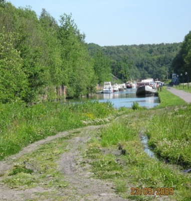 branche de Bellecourt.jpg (138.55 Kio) Vu 5356 fois branche de Bellecourt.jpg
