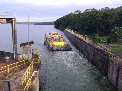 pousseur bresilien.jpg (223.47 Kio) Vu 1466 fois pousseur bresilien.jpg