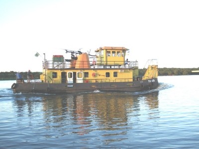 pousseur bresilien2.jpg (100.7 Kio) Vu 1466 fois pousseur bresilien2.jpg