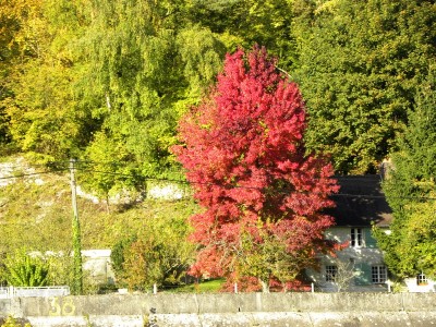 DSCN2105.JPG (319.44 Kio) Vu 3209 fois DSCN2105.JPG