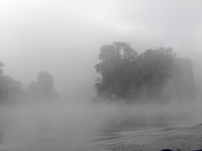 DSCN2119.JPG (167.04 Kio) Vu 3209 fois DSCN2119.JPG