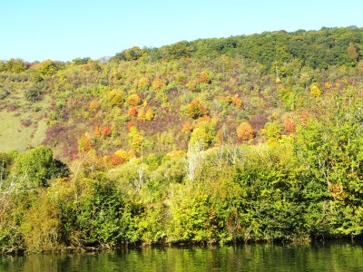 Copie de DSCN2128.JPG (300.73 Kio) Vu 3209 fois Copie de DSCN2128.JPG