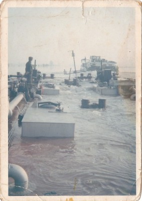 domino_0002.jpg