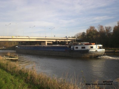 CIMG6308.JPG