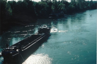 nono_0015.jpg (184.53 Kio) Vu 10685 fois nono_0015.jpg