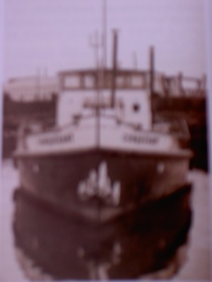 003.JPG (65.63 Kio) Vu 5737 fois 003.JPG