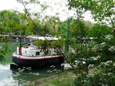 azriel-ar.JPG (326.79 Kio) Vu 4429 fois azriel-ar.JPG