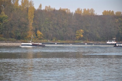 Photos 101031 188.jpga.jpg (165.9 Kio) Vu 1562 fois Photos 101031 188.jpga.jpg